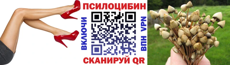 МЕГА сайт  как найти закладки  Шиханы  Псилоцибиновые грибы Psilocybe 